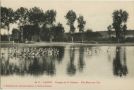 Carte postale ancienne - Landes - LANDES - Paysage de la Chalosse - Une Mare aux Oies