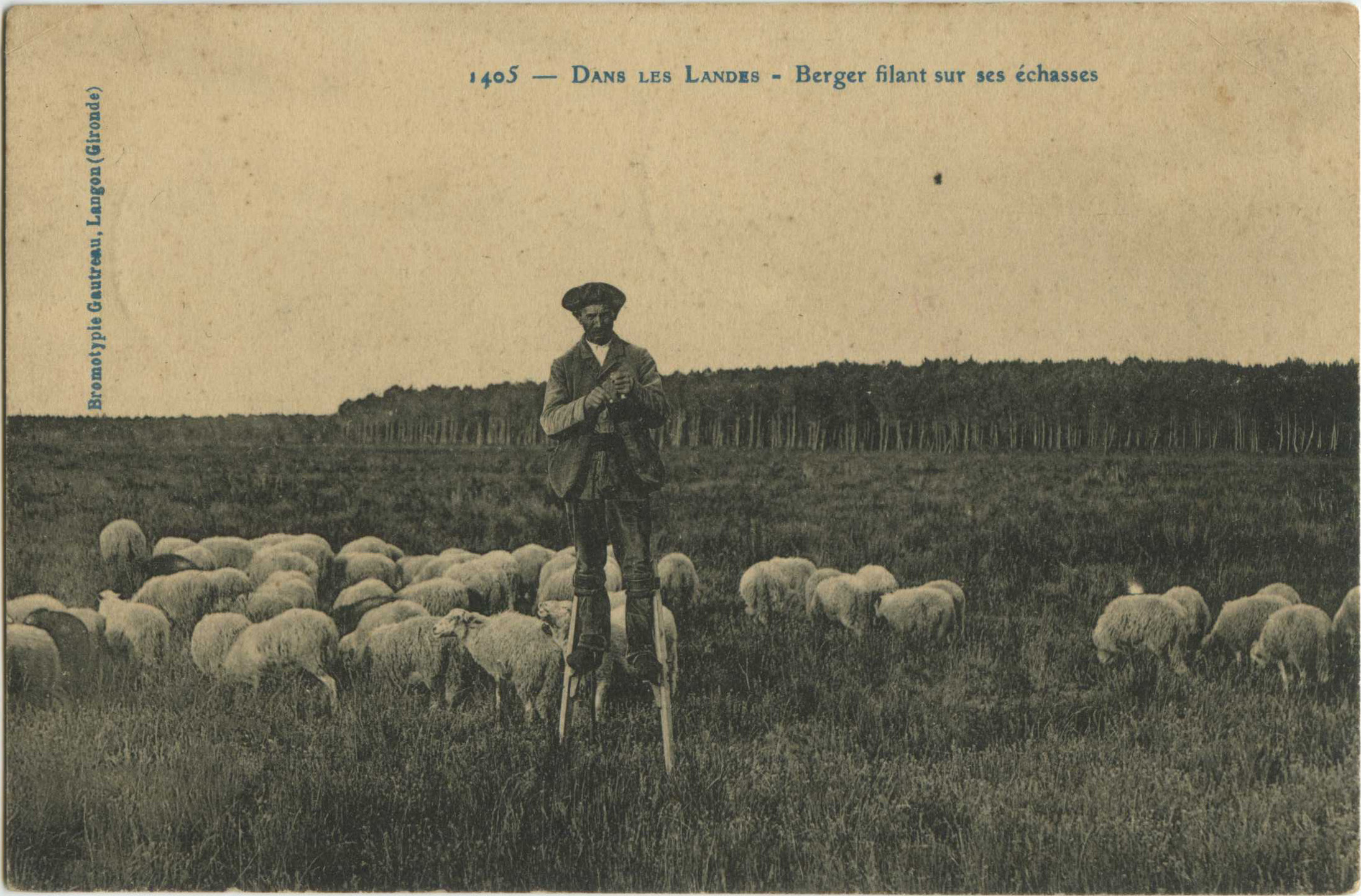 Landes - Dans les Landes - Berger filant sur ses échasses