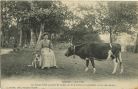 Carte postale ancienne - Landes - LANDES - Soir d'Été - Les Jeunes Filles gardent les vaches sur les bordures ou cantailles, autour des champs