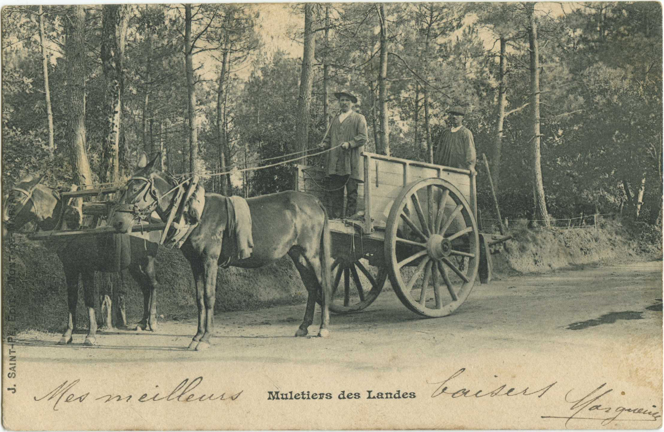 Landes - Muletiers des Landes