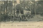 Carte postale ancienne - Landes - Muletiers des Landes