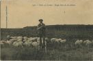 Carte postale ancienne - Landes - Dans les Landes - Berger filant sur ses échasses