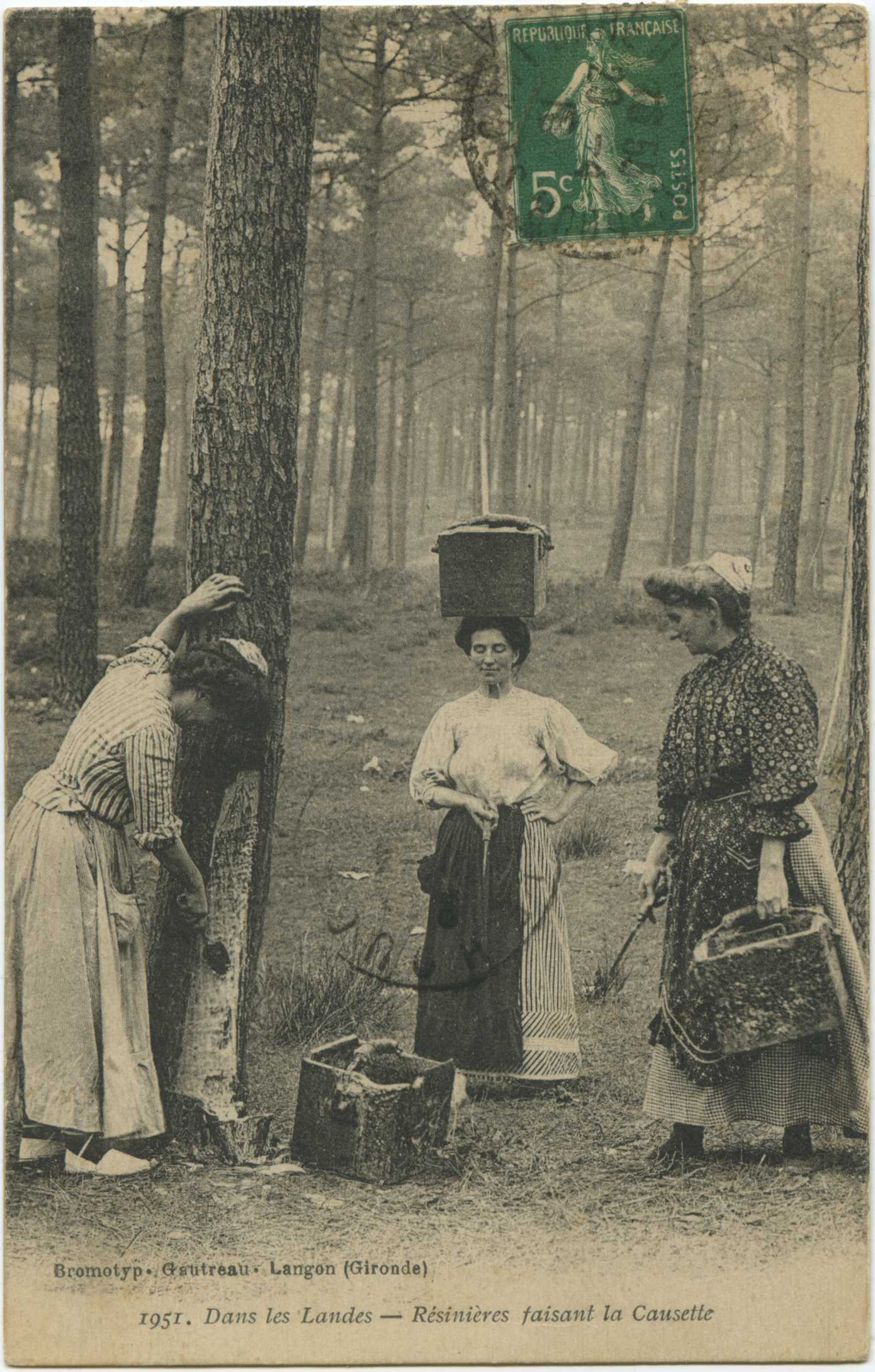 Landes - Dans les Landes - Résinières faisant la Causette