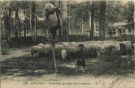 Carte postale ancienne - Landes - LANDES - Echassier gardant les moutons
