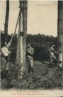 Carte postale ancienne - Landes - Côte d'Argent - AU PAYS DE LA RÉSINE - Jeunes Résinières gemmant des Pins