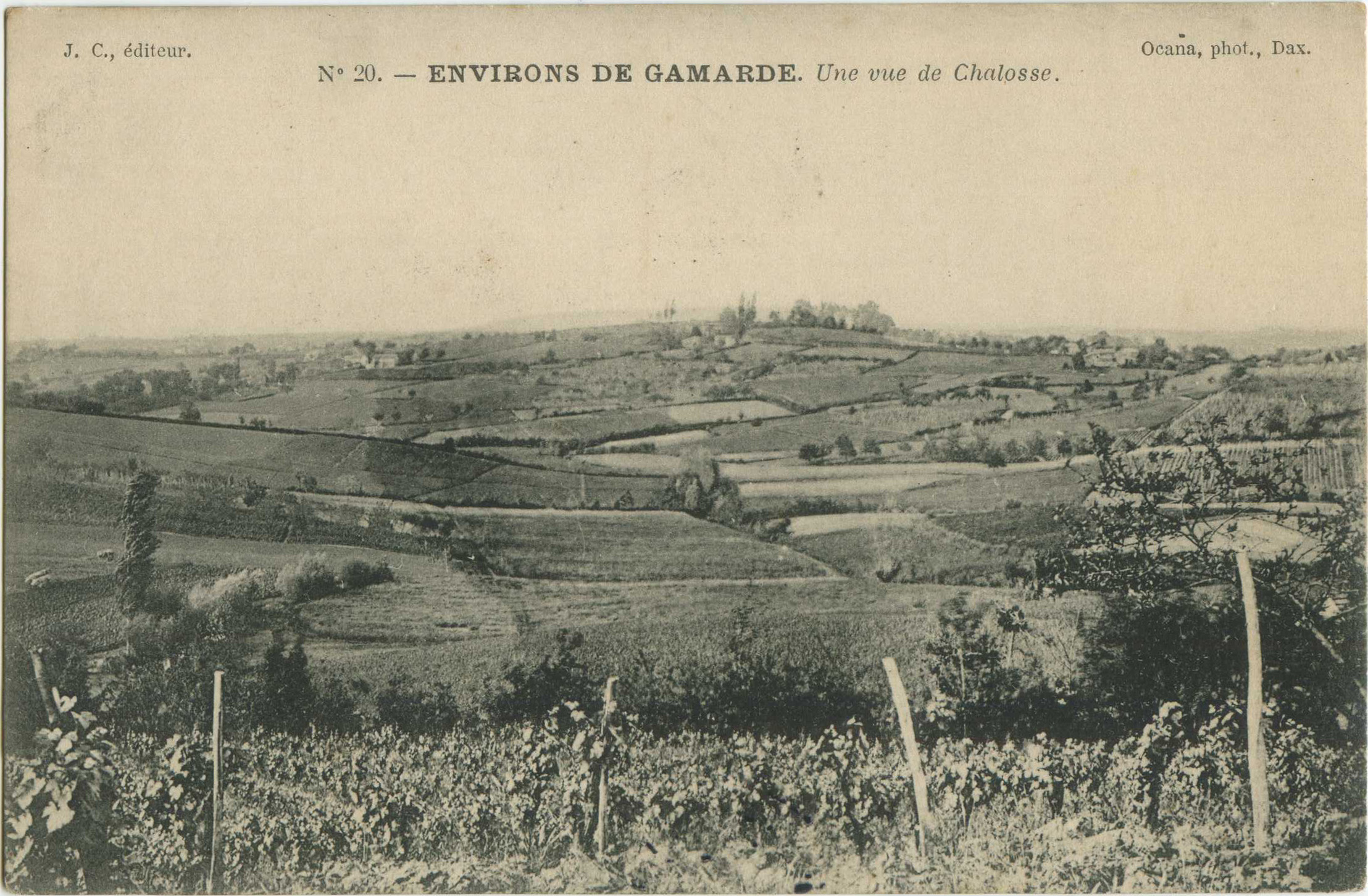 Gamarde-les-Bains - ENVIRONS DE GAMARDE - Une vue de Chalosse.