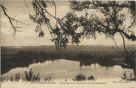 Carte postale ancienne - Hastingues - Vue prise de la terrasse du Préventorium