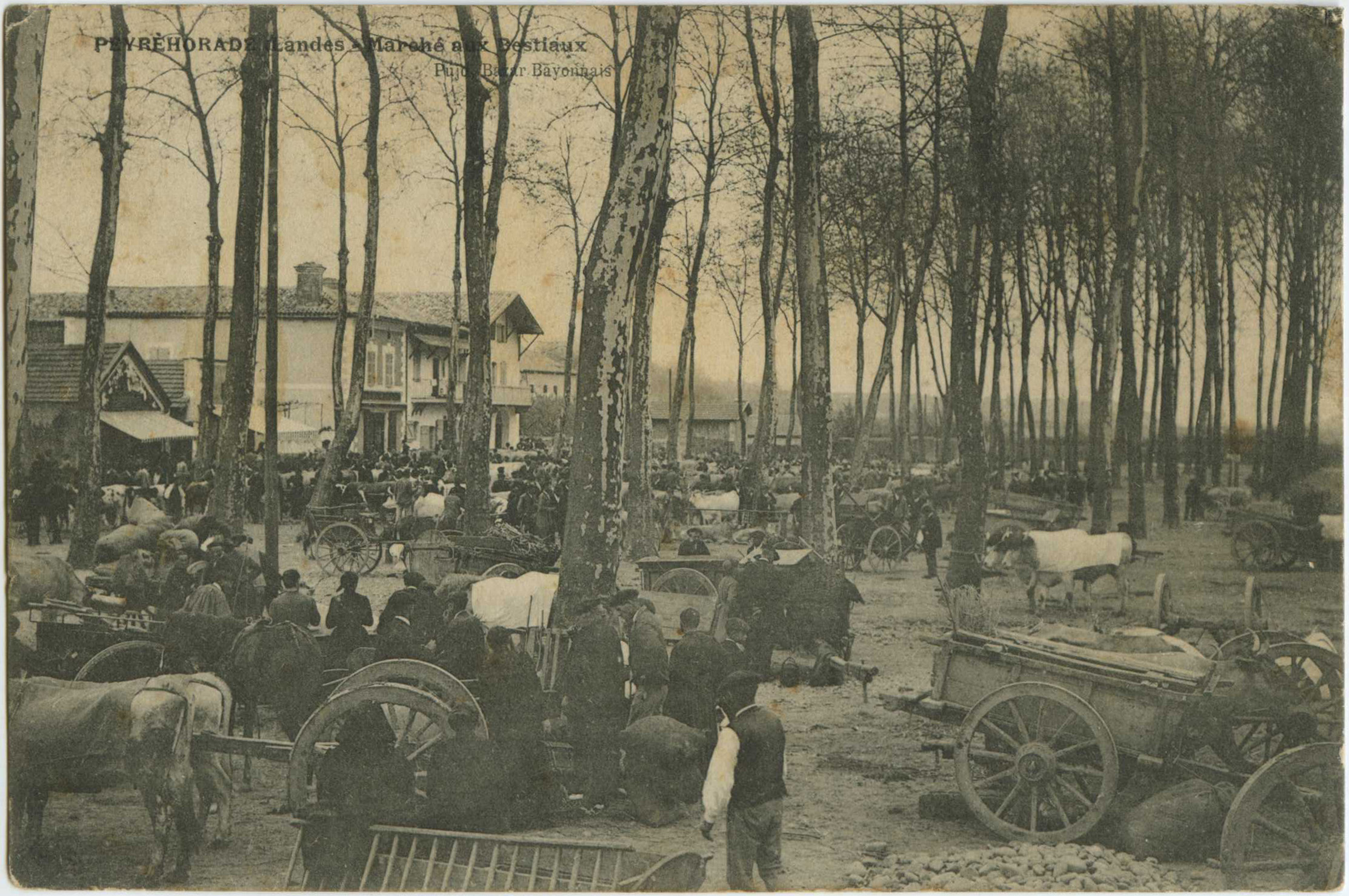 Peyrehorade - Marché aux Bestiaux