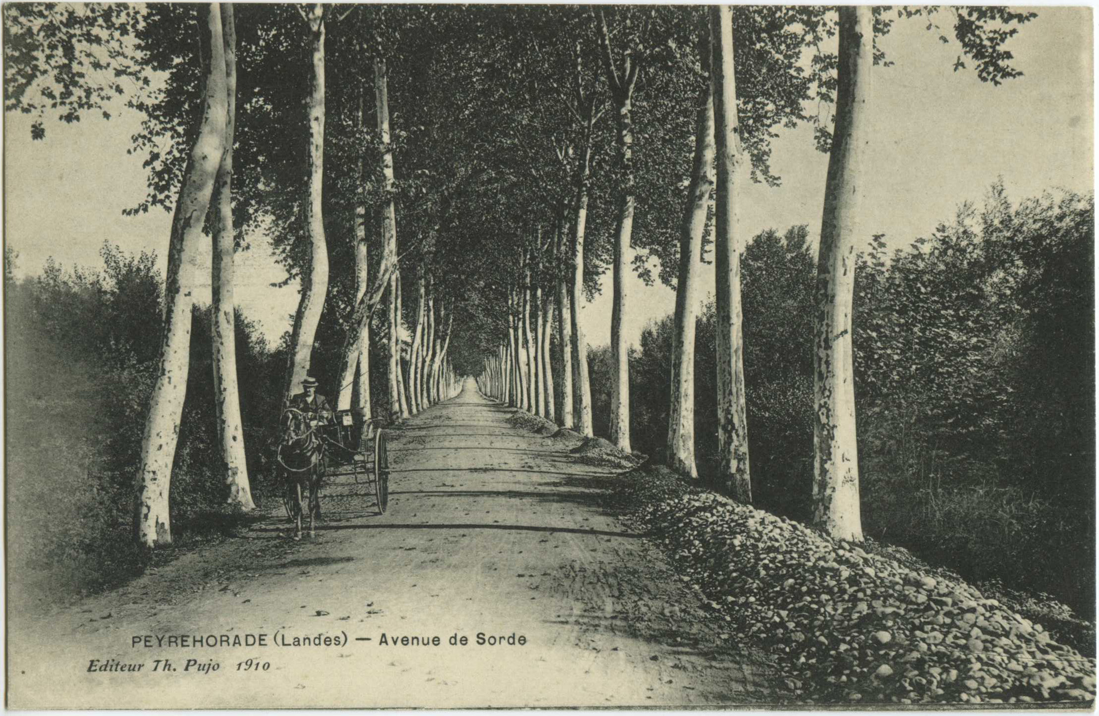 Peyrehorade - Avenue de Sorde