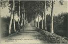 Carte postale ancienne - Peyrehorade - Avenue de Sorde