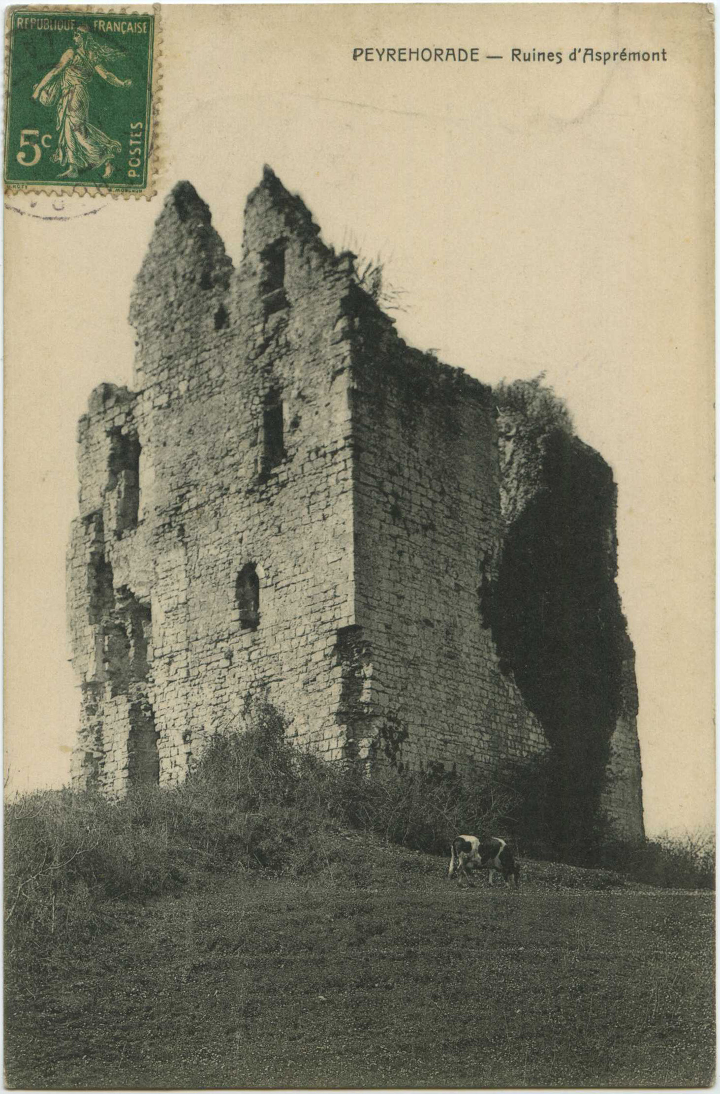 Peyrehorade - Ruines d'Asprémont
