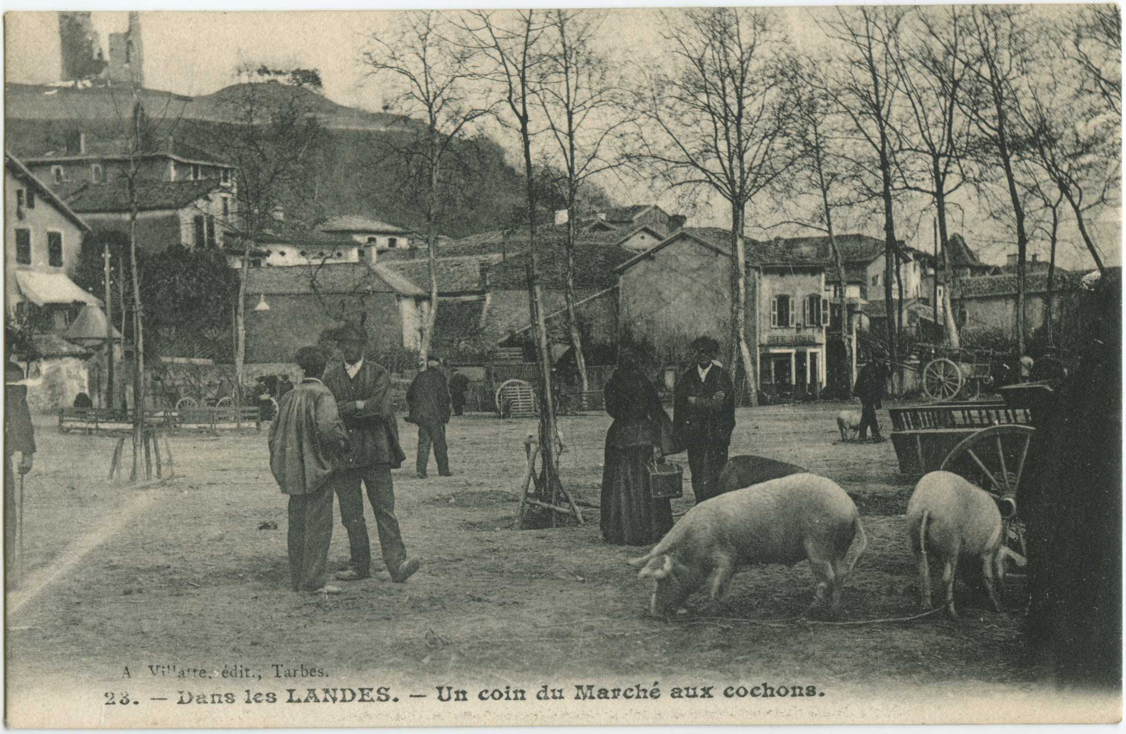 Peyrehorade - Un coin du Marché aux cochons
