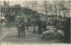 Carte postale ancienne - Peyrehorade - Un coin du Marché aux cochons