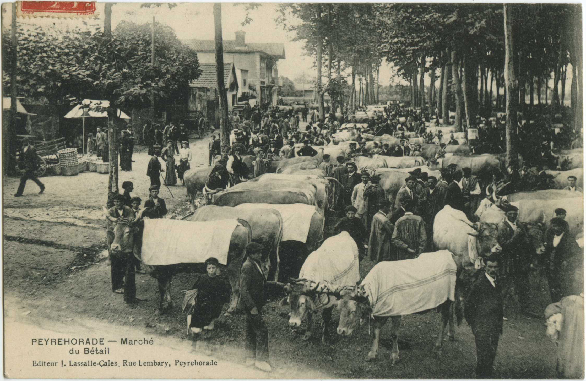 Peyrehorade - Marché du Bétail