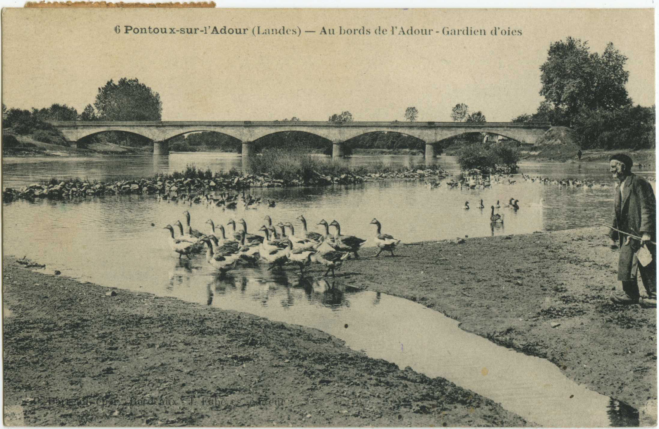 Pontonx-sur-l'Adour - Au bords de l'Adour - Gardien d'oies