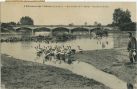 Carte postale ancienne - Pontonx-sur-l'Adour - Au bords de l'Adour - Gardien d'oies