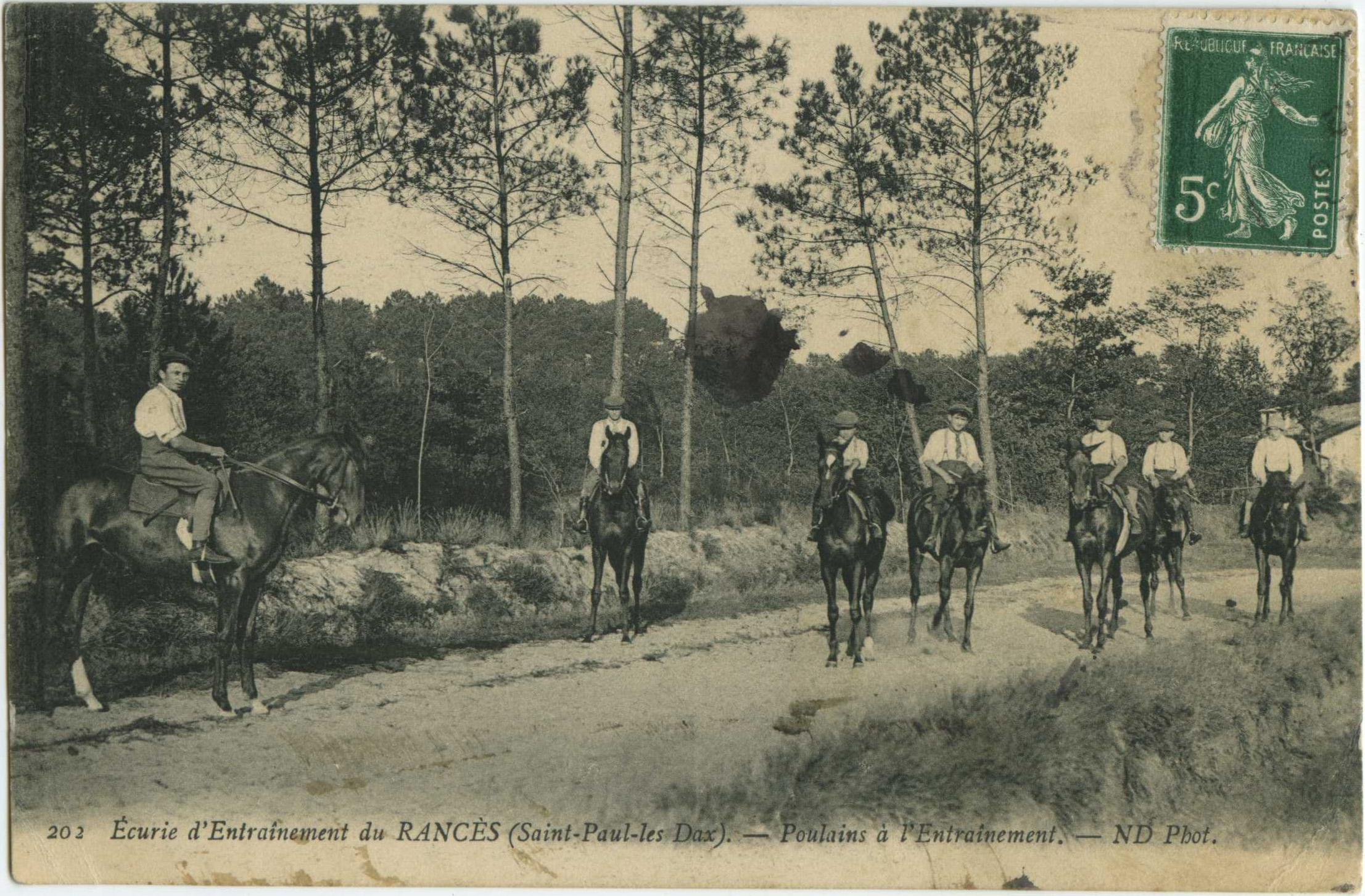 Saint-Paul-lès-Dax - Écurie d'Entraînement du RANCÈS - Poulains à l'Entraînement