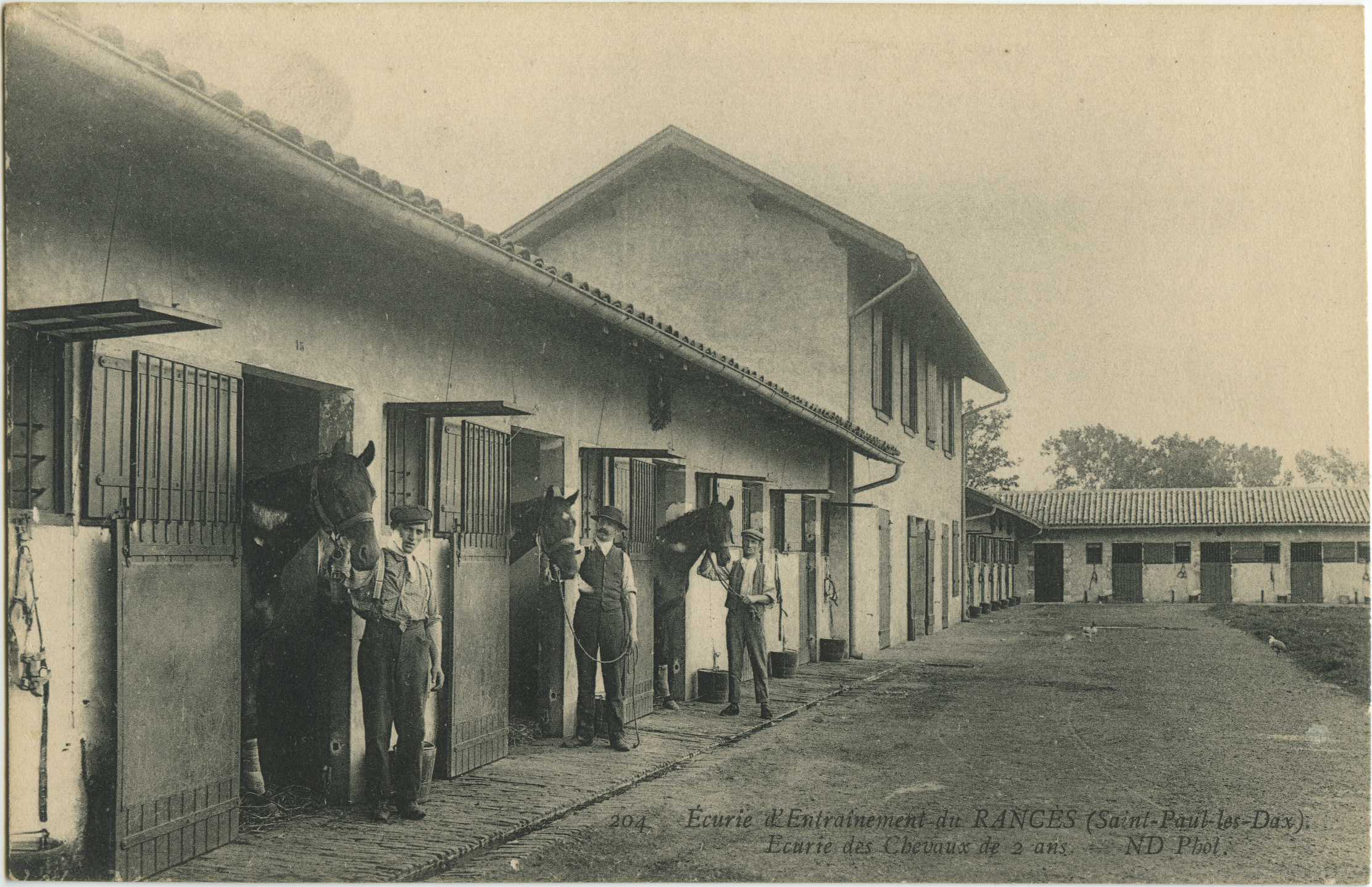 Saint-Paul-lès-Dax - Écurie d'Entraînement du RANCÈS - Ecurie des Chevaux de 2 ans.