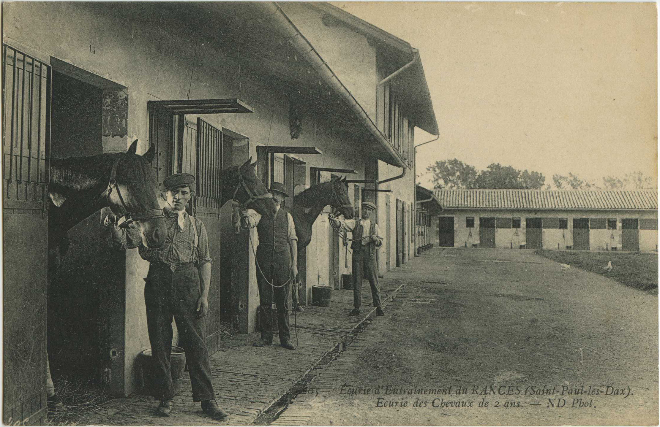 Saint-Paul-lès-Dax - Écurie d'Entraînement du RANCÈS - Ecurie des Chevaux de 2 ans.