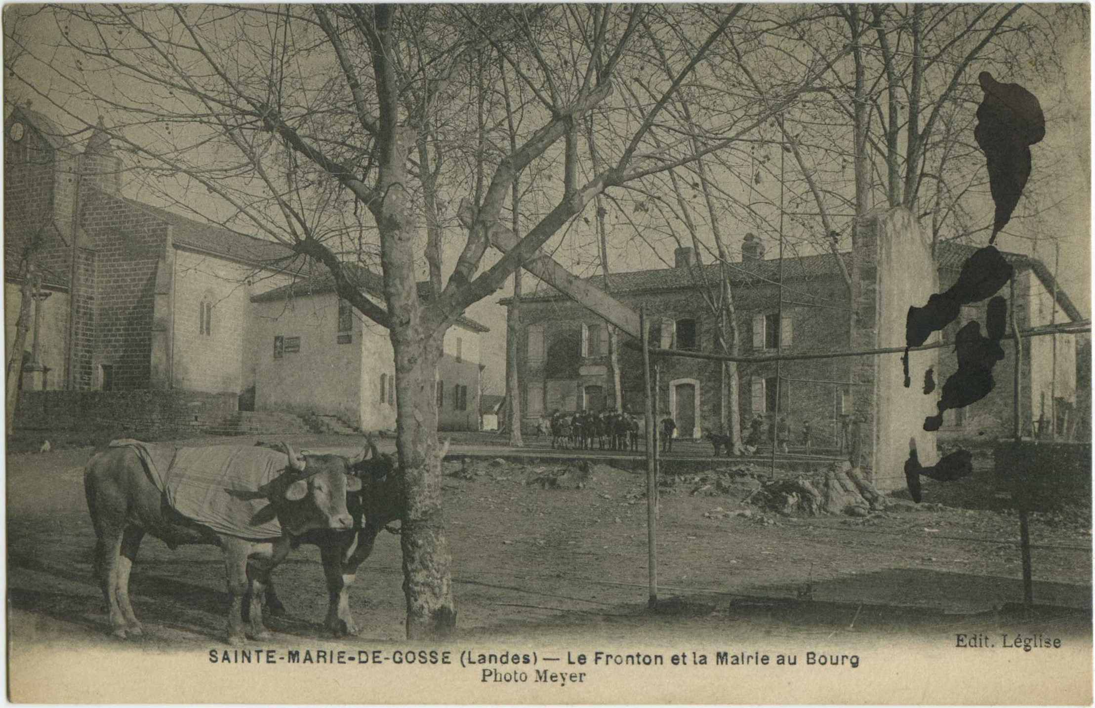 Sainte-Marie-de-Gosse - Le Fronton et la Mairie au Bourg