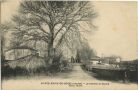 Carte postale ancienne - Sainte-Marie-de-Gosse - Le Chemin du Bourg