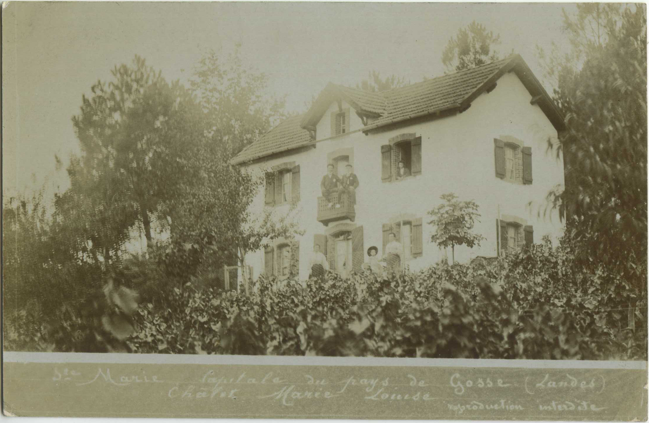 Sainte-Marie-de-Gosse - Châlet Marie Louise