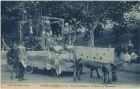 Carte postale ancienne - Salies-de-Béarn - Fête du Millénaire - Le Char des Tisserands