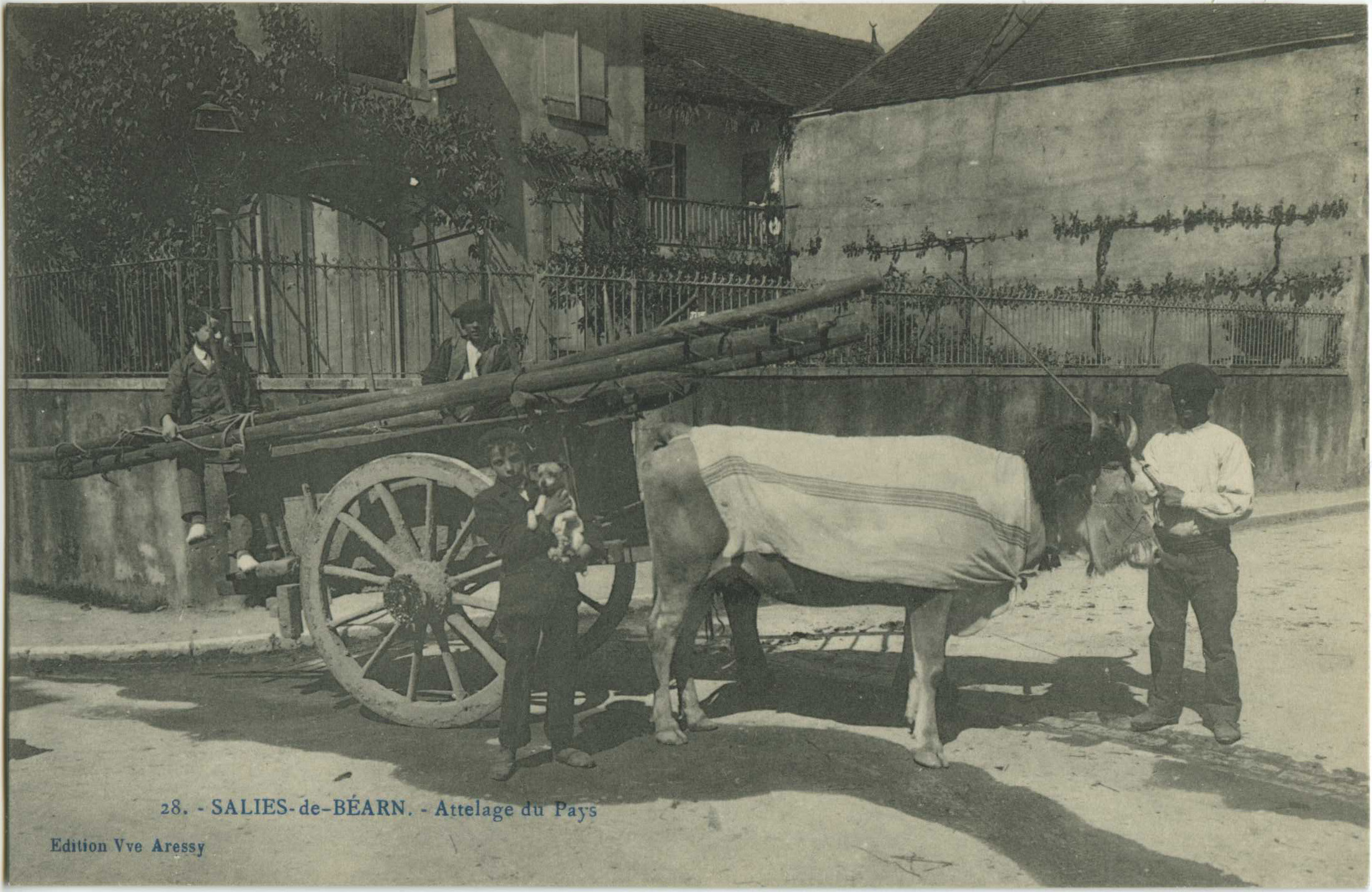 Salies-de-Béarn - Attelage du Pays