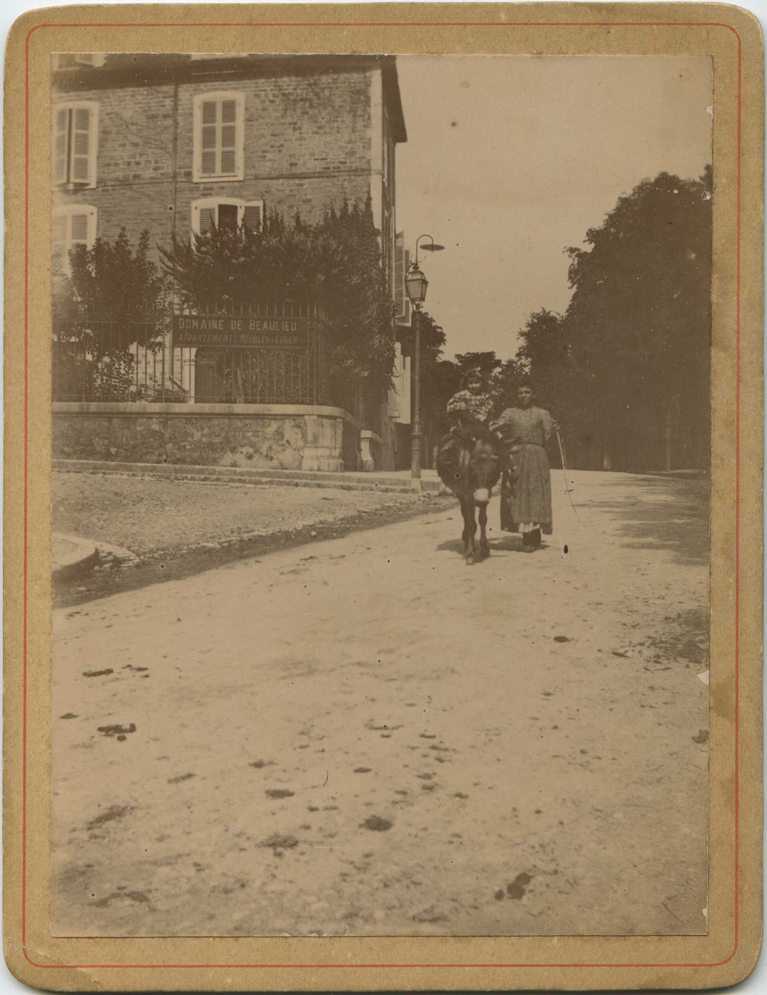 Salies-de-Béarn - Photo - Le domaine de Beaulieu