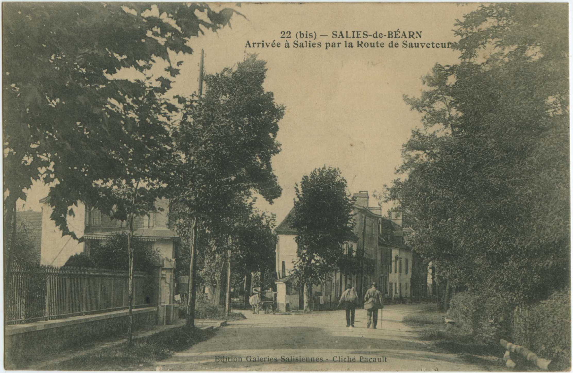 Salies-de-Béarn - Arrivée à Salies par la Route de Sauveteur