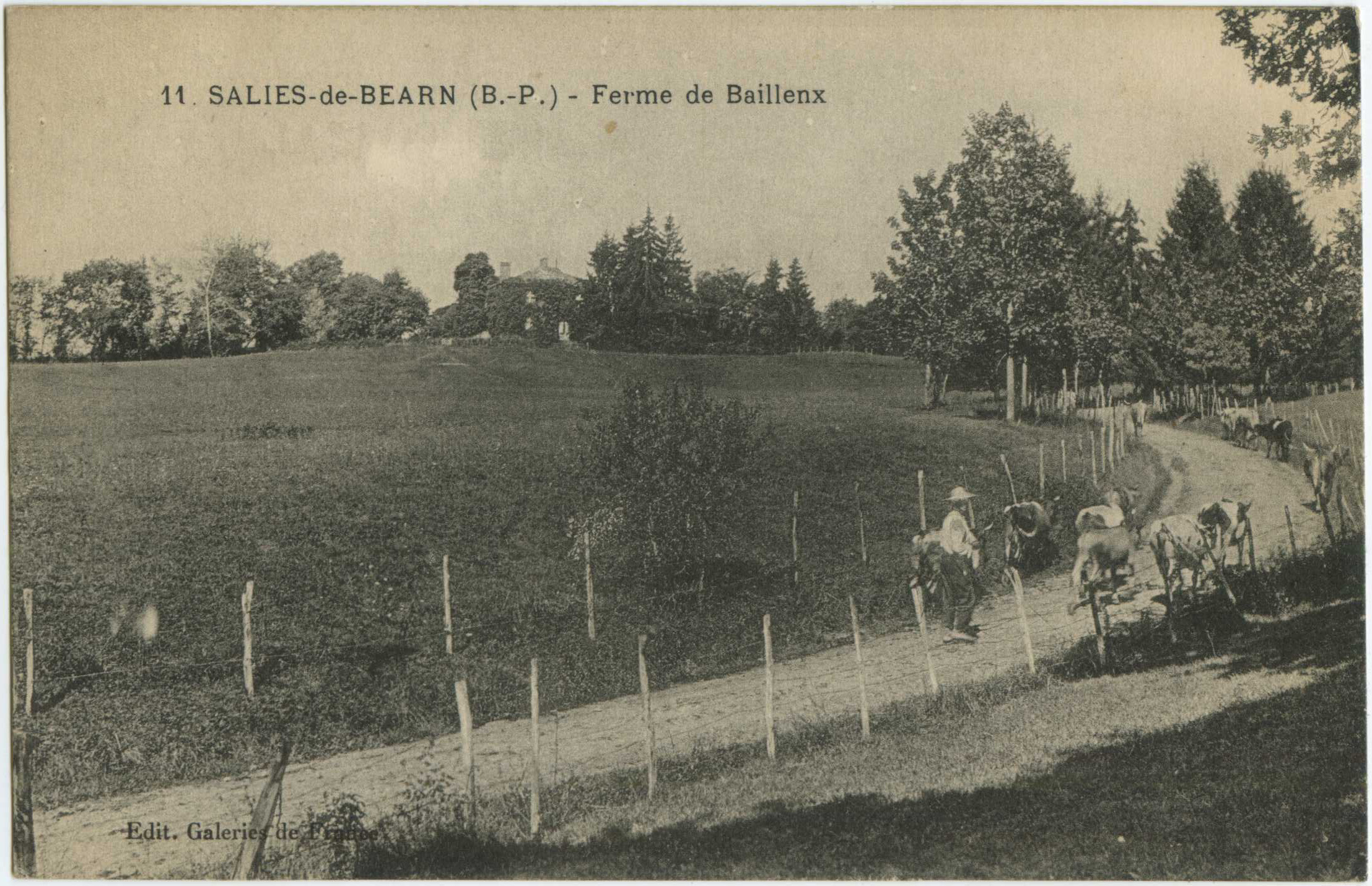 Salies-de-Béarn - Ferme de Baillenx